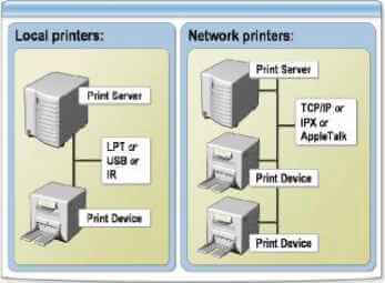 chart showing differences between local and network printers