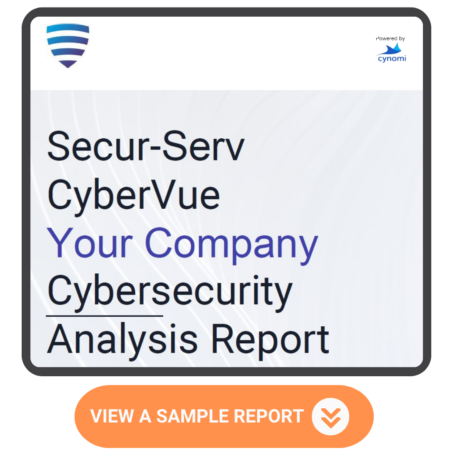 CyberVue_Sample_Report